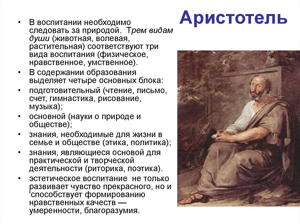 Аристотель взгляд на природу. Аристотель о воспитании. Педагогические взгляды Аристотеля. Аристотель основные идеи в педагогике. Аристотель цель воспитания.