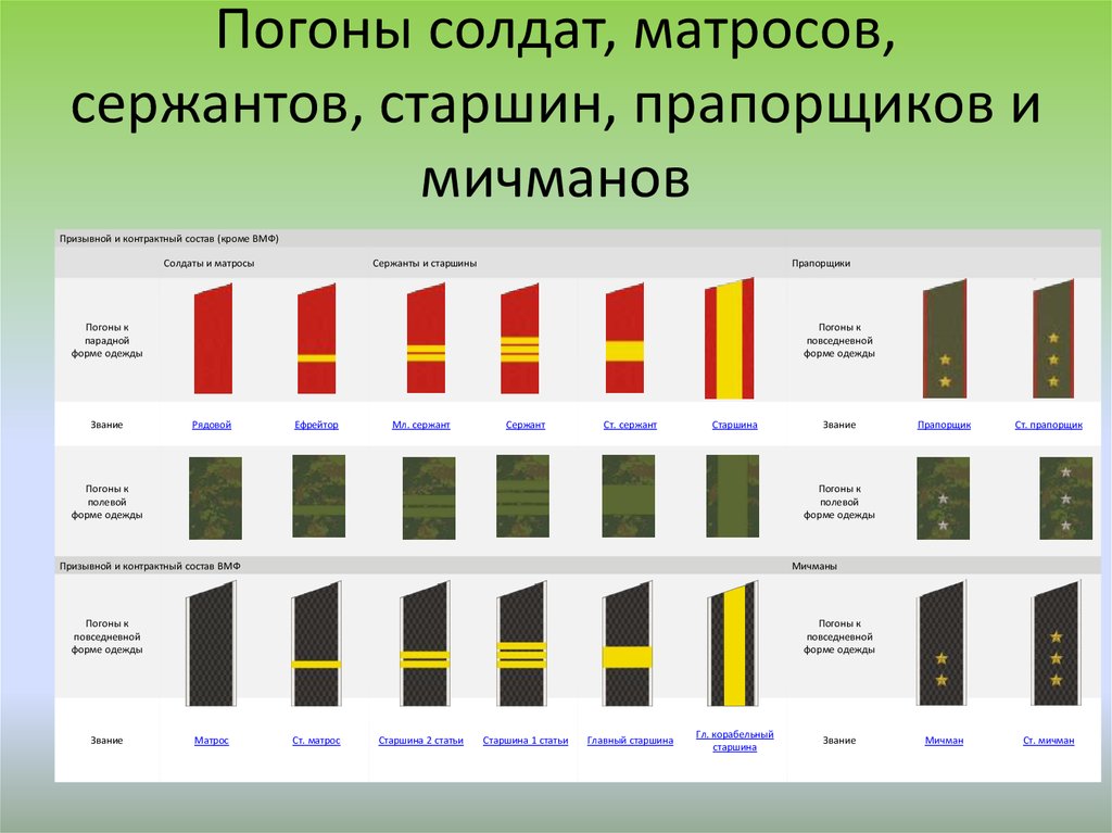 Главный сержант в российской армии погоны фото