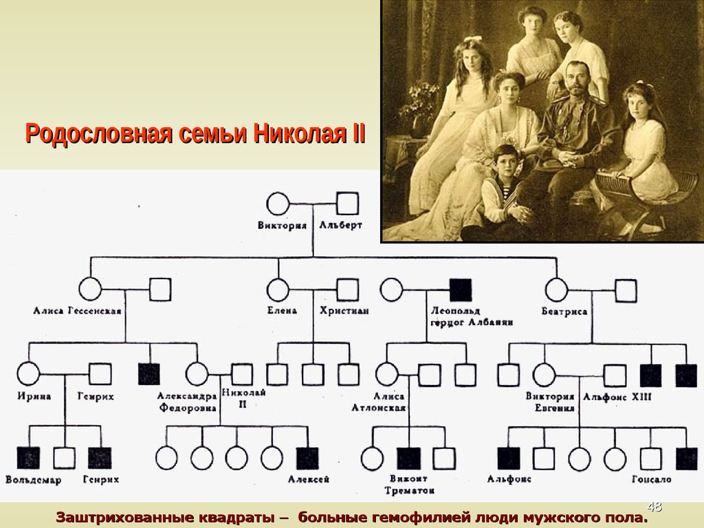 Схема семейства купца