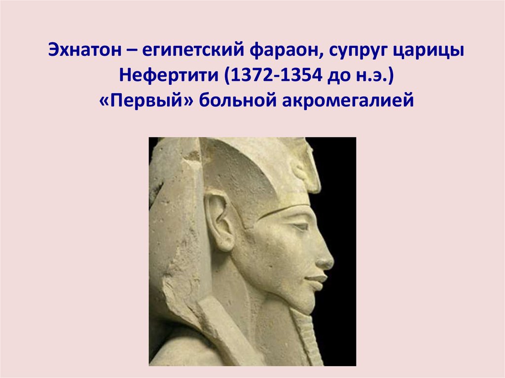 Реформы фараона эхнатона