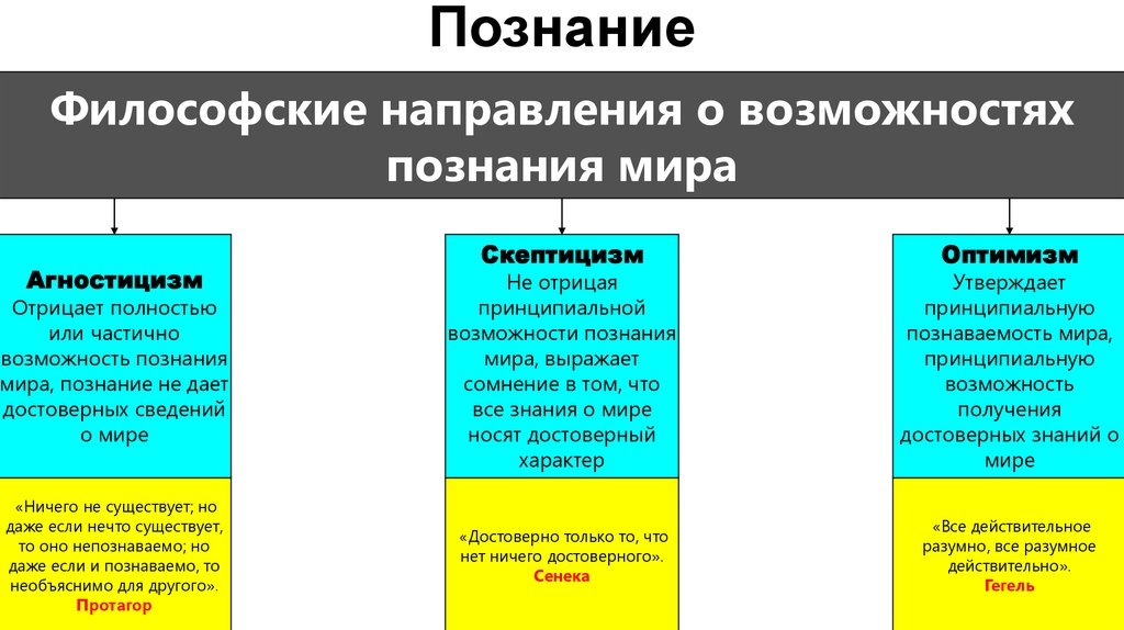 Философское учение отрицающее роль разума в познании и выдвигающее на первый план иные виды