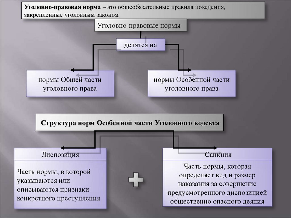 План по обществу уголовное право