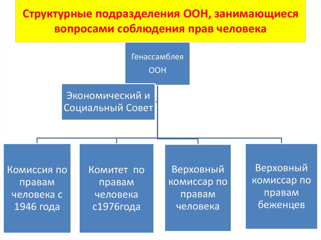 Состав наций