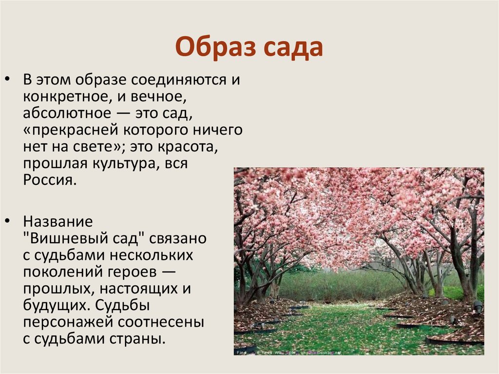 Проблема счастья в вишневом саде. Сюжет пьесы вишневый сад. Образ вишневого сада. Вишневый сад название. Образ сада.