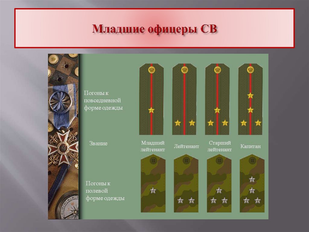 Звание старший лейтенант картинки