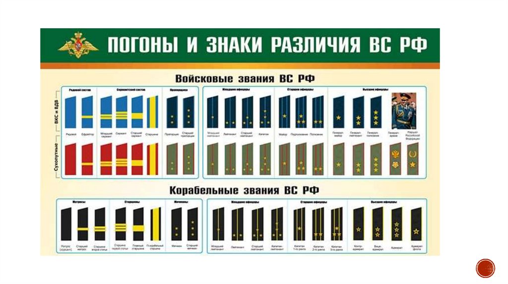 Звания в армии белоруссии по возрастанию с погонами фото