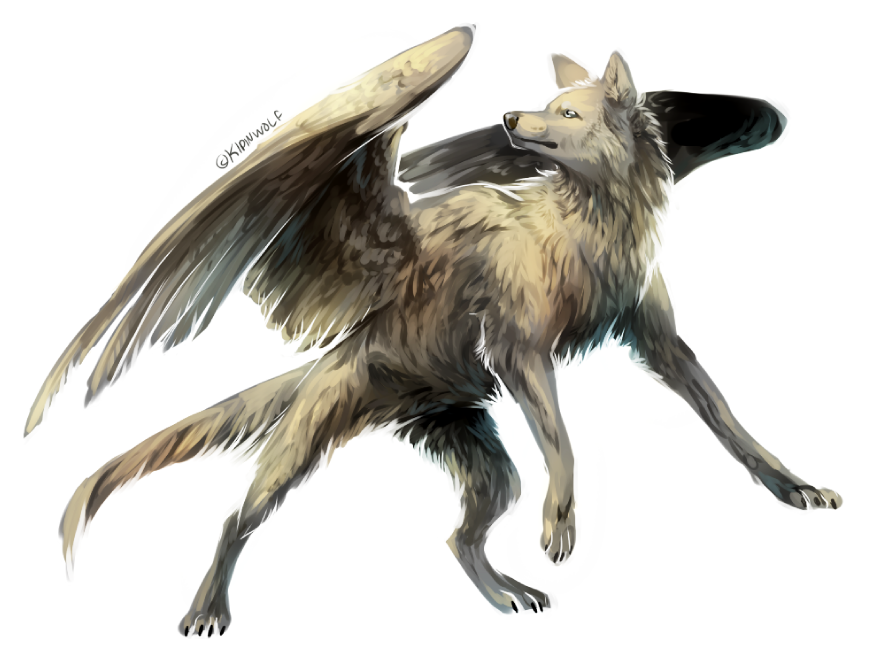 Крылатая собака. Крылатый волк Семаргл. Симуран крылатый волк. Симуран волчица. Летающий волк.