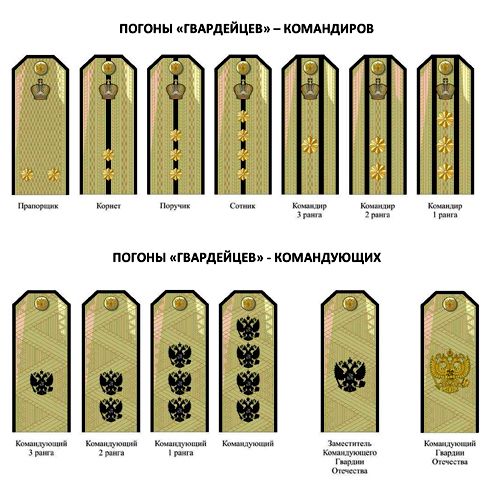 Казачьи погоны и звания нового образца