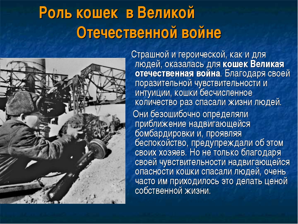 Презентация про войну 1941 1945