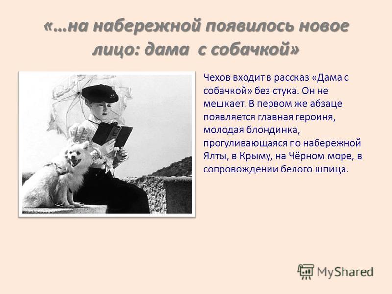 Дама с собачкой краткое содержание по главам. Чехов а.п. "дама с собачкой". Тема любви в произведениях Чехова.