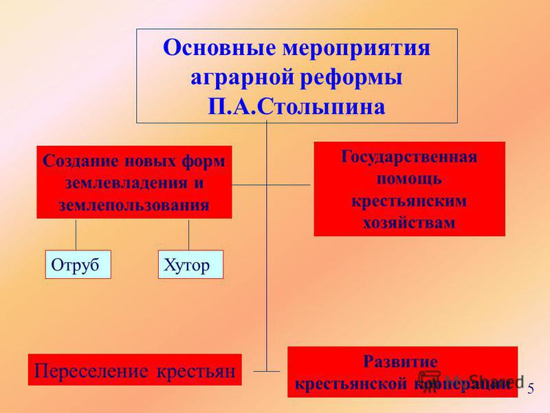 Мероприятия предпринятые в рамках столыпинской аграрной реформы