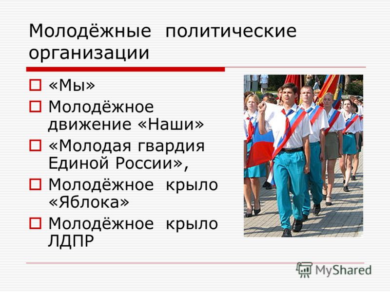 Политические организации в нашем регионе и их влияние на общественную жизнь проект