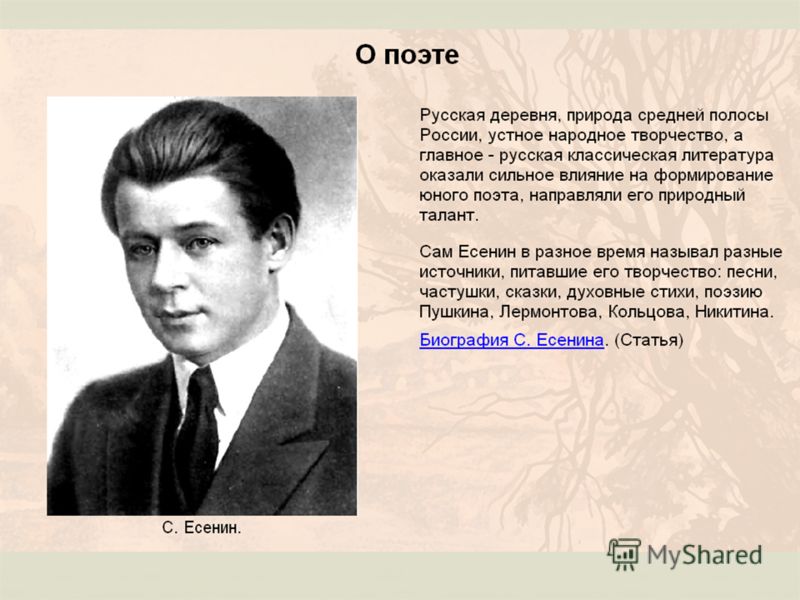 7 поэтов 20 века. Поэты 20 века. Творчество поэтов 20 века. Поэты двадцатого века русские. Биография поэта 20 века.