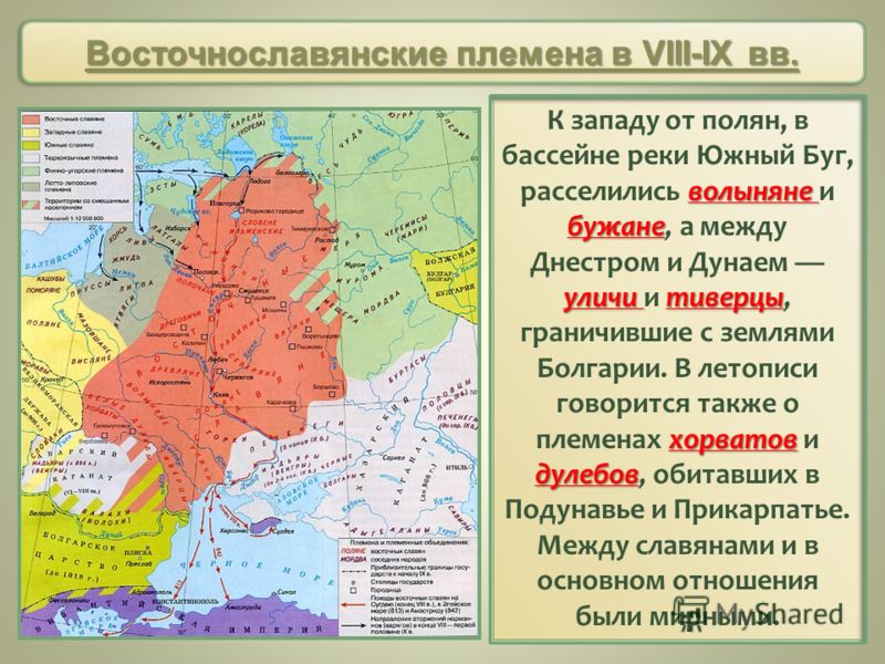 Восточнославянские племенные союзы и их соседи презентация