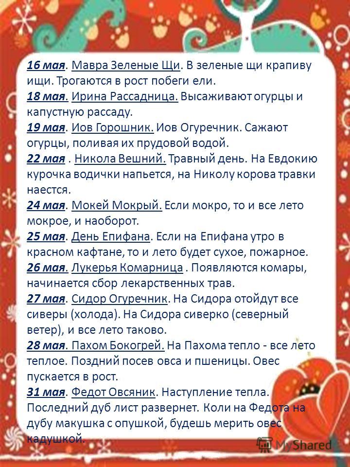 Мавра рассадница 16 мая картинки