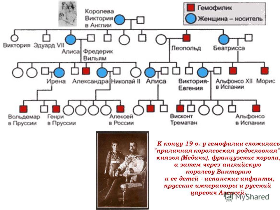 Какую фамилию носил первый предок рода романовых. Родословная семьи Николая 2. Династия семьи Романовых Древо. Семейное Древо королевы Виктории.