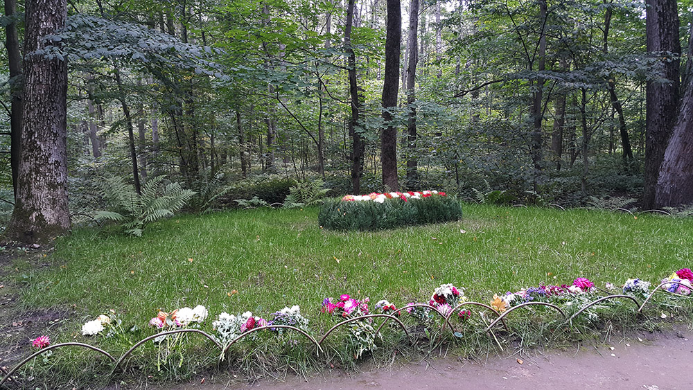 Ясная Поляна могила Льва Толстого.