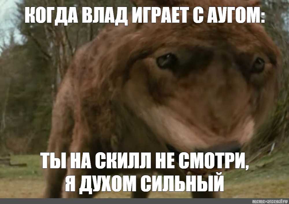 Ну пока брат