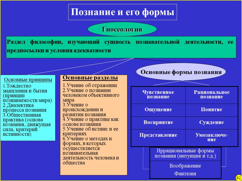 План формы познания