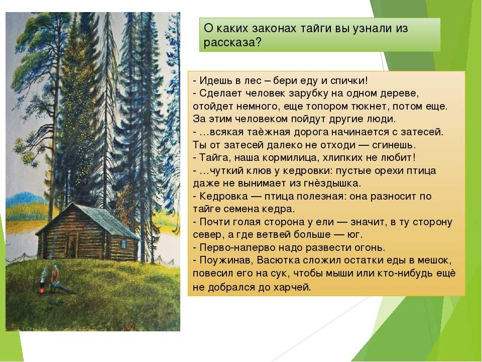 Никишкины тайны план