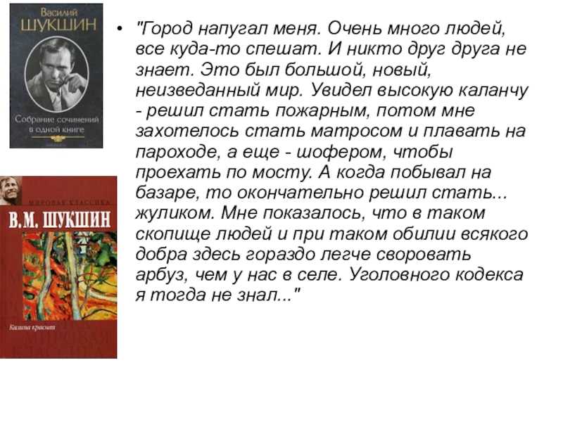 Краткий пересказ картинки шукшина