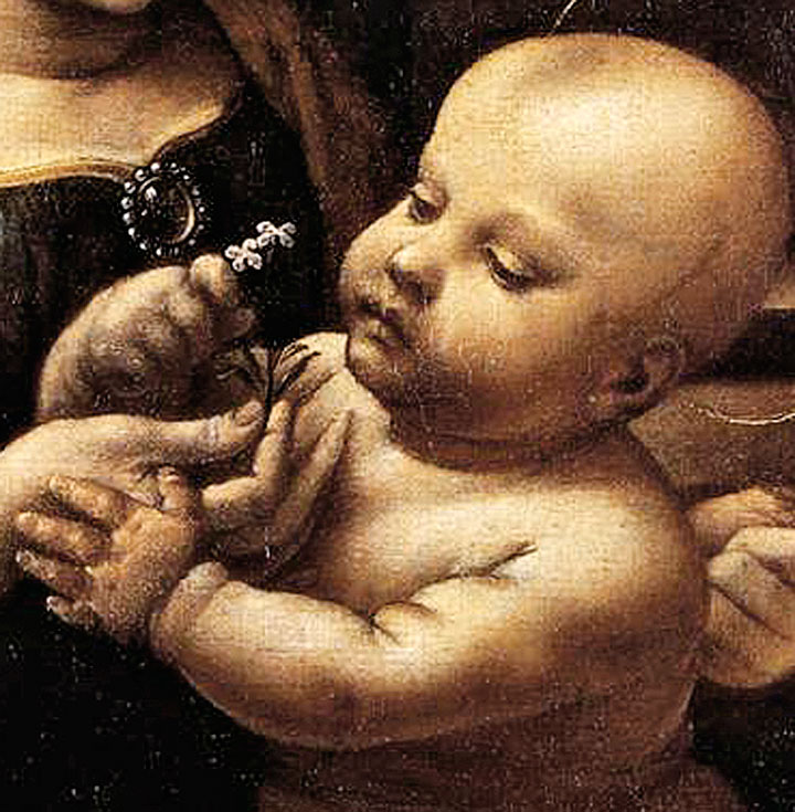 Леонардо да винчи в детстве фото