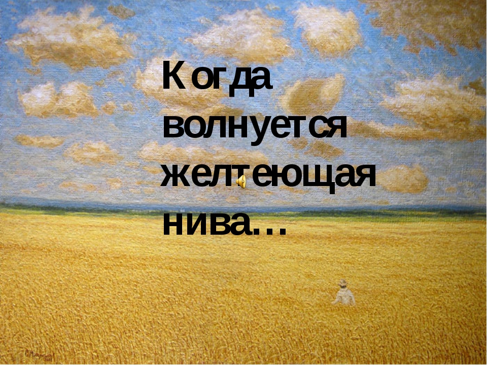 Лермонтов когда волнуется желтеющая нива. Жёлтая Нива Лермонтов. Когда волнуется желтеющая Нива. Когдп аолнуется желтеющая Нева. Когда волнуется золотеющие Нивы.