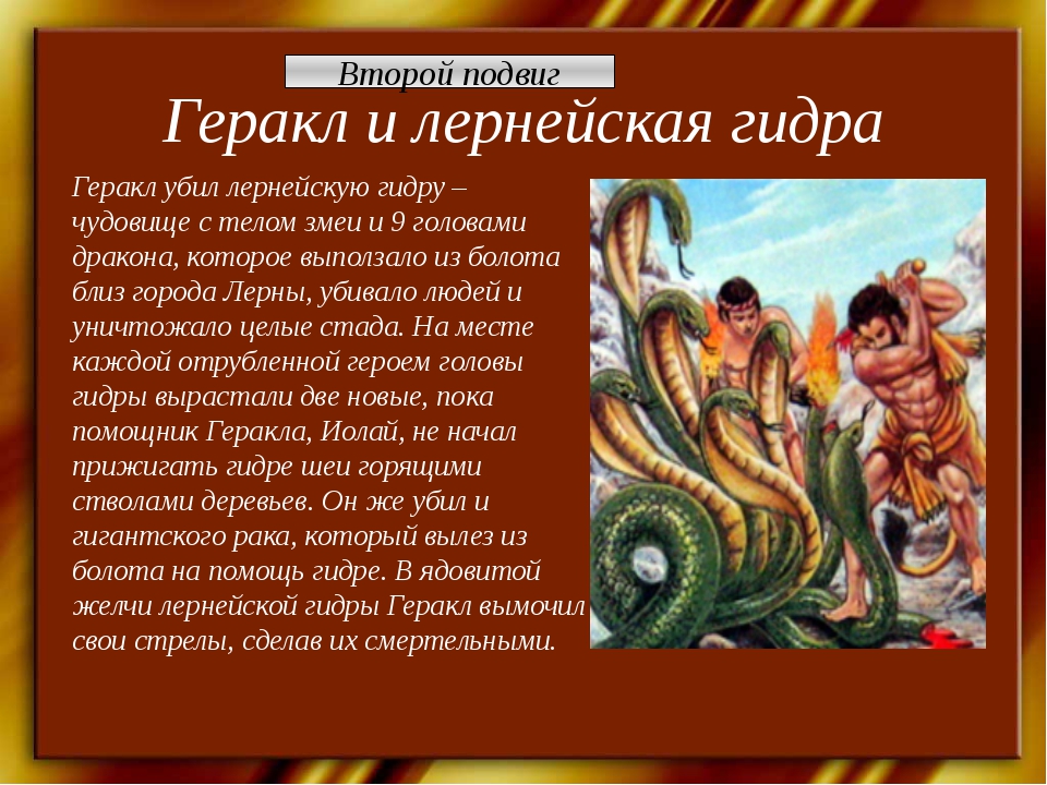 Сочинение подвиги геракла 5 класс. 2 Подвиг Геракла Лернейская гидра. Миф о Геракле Лернейская гидра. 2 Подвиг Геракла Лернейская гидра проект. 12 Подвигов Геракла Лернейская гидра.