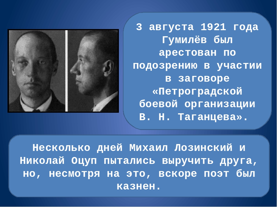 Факты из жизни гумилева. Жизнь и творчество Гумилева. Биография н с Гумилева. Гумилев кратко.