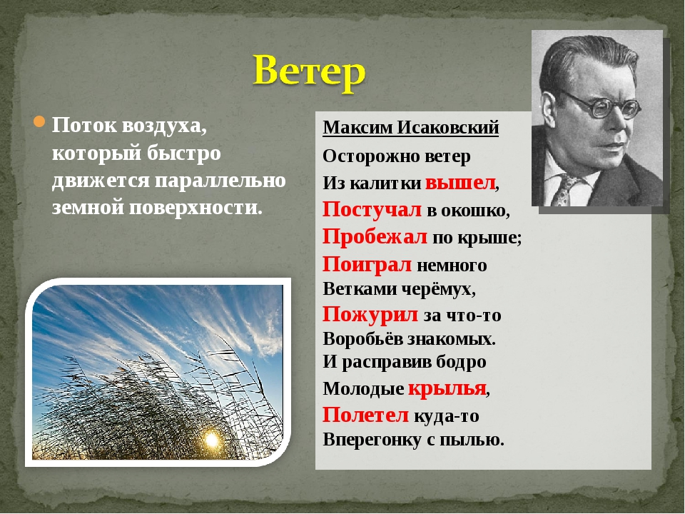 Дождик лил холодный и ветер с севера. Стих про ветер. Стихотворение про природные явления. Стихи с описанием ветра. Стихи о природных явлениях русских поэтов.