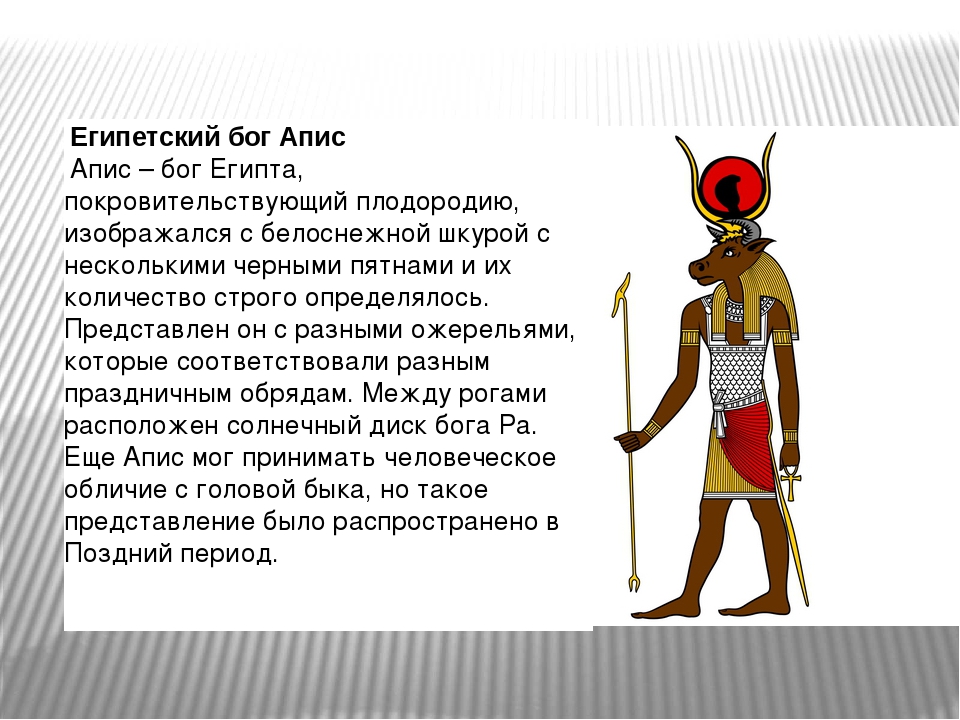 Боги египта история 5 класс. АПИС богиня Египта. Бог АПИС В древнем Египте. АПИС Бог Египта 5 класс. Бог АПИС В древнем Египте 5 класс.