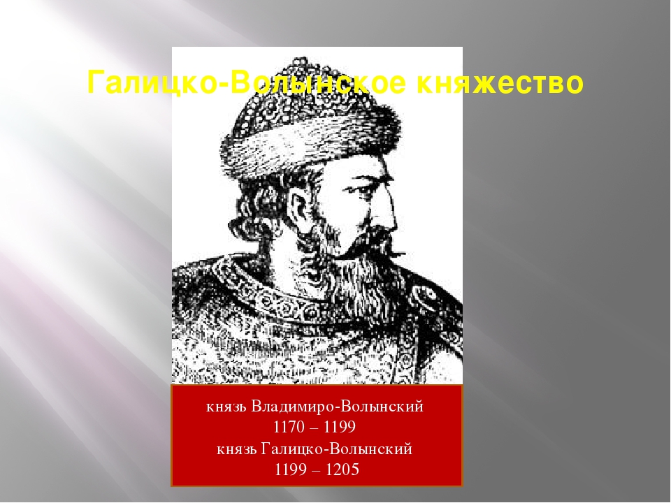 Галицко волынское княжество власть князя