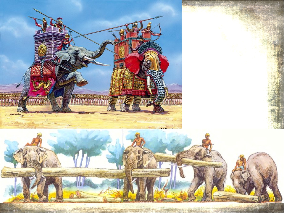 Индия картинки 5 класс. Исторические иллюстрации древней Индии. Воины древней Индии. Древняя Индия история. Индия до нашей эры.