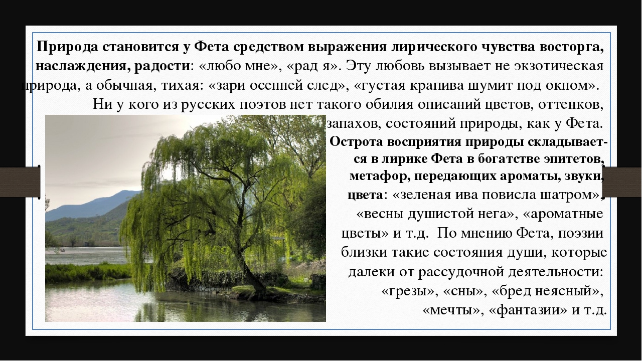 Какую роль играет описание природы. Человек и природа в лирике Фета. Стихотворение Фета о природе. Пейзажная лирика Фета. Человек и природа в лирике Фета сочинение.