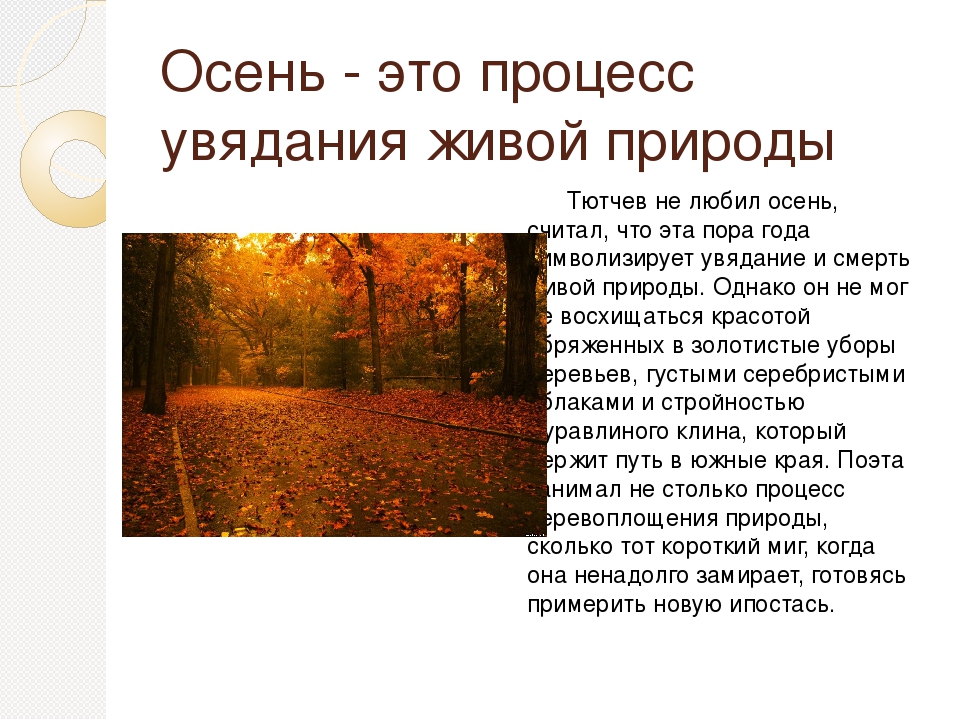 Тютчев есть в осени анализ. Ф Тютчев осень. Фёдор Иванович Тютчев осенний вечер. Осенний вечер Тютчев анализ. Стихи Тютчева про осень.