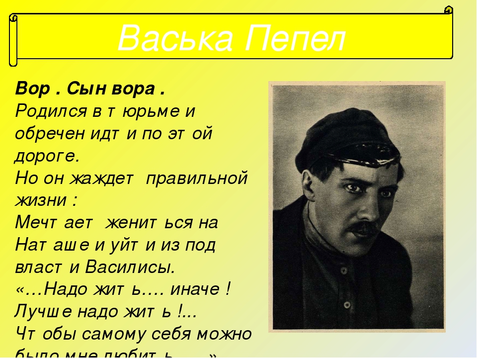 Чем занимается васька пепел