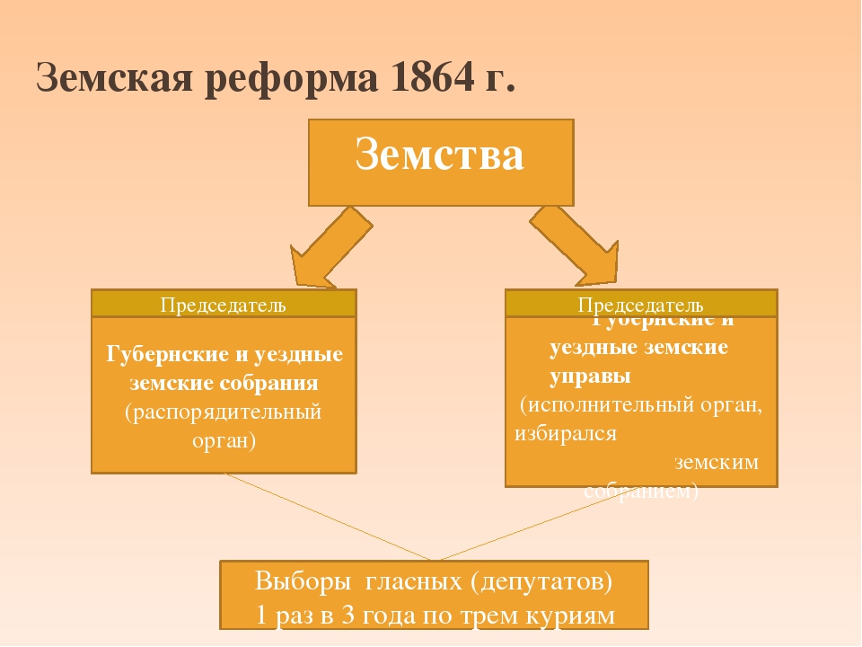 Земская реформа распорядительные органы