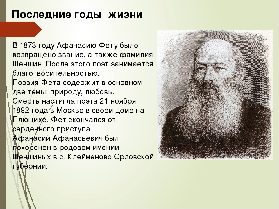 Фет кратко. Фет 1873. Кластер Афанасий Афанасьевич Фет. Афанасий Афанасьевич Фет буклет. Биология Фета.