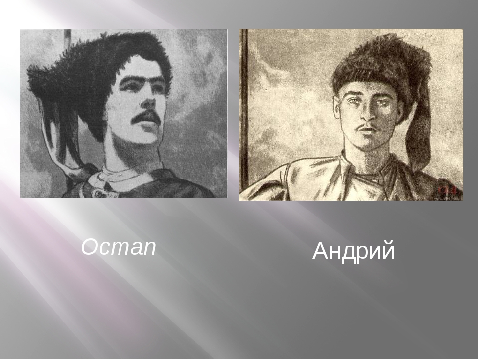 Андрий кратко. Остап Бульба. Тарас Бульба Остап и Андрий. Остап сын Тараса бульбы. Остап и Андрий в повести н в Гоголя Тарас Бульба.