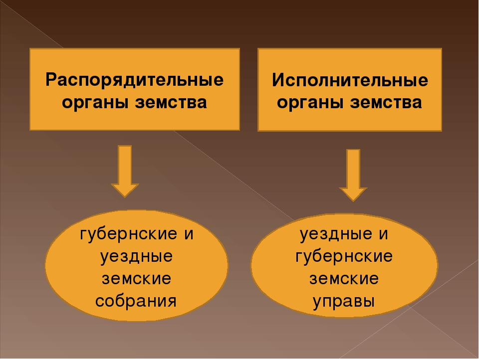 Земская реформа распорядительные органы