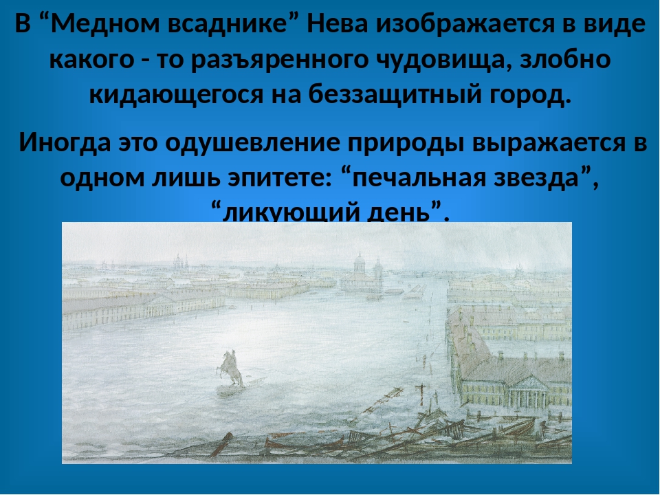 Какую тему поднимает автор в медном всаднике