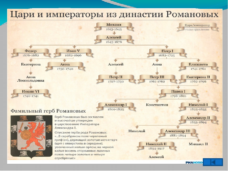 Древо династии Романовых 1613-1917. Романовы древо фото