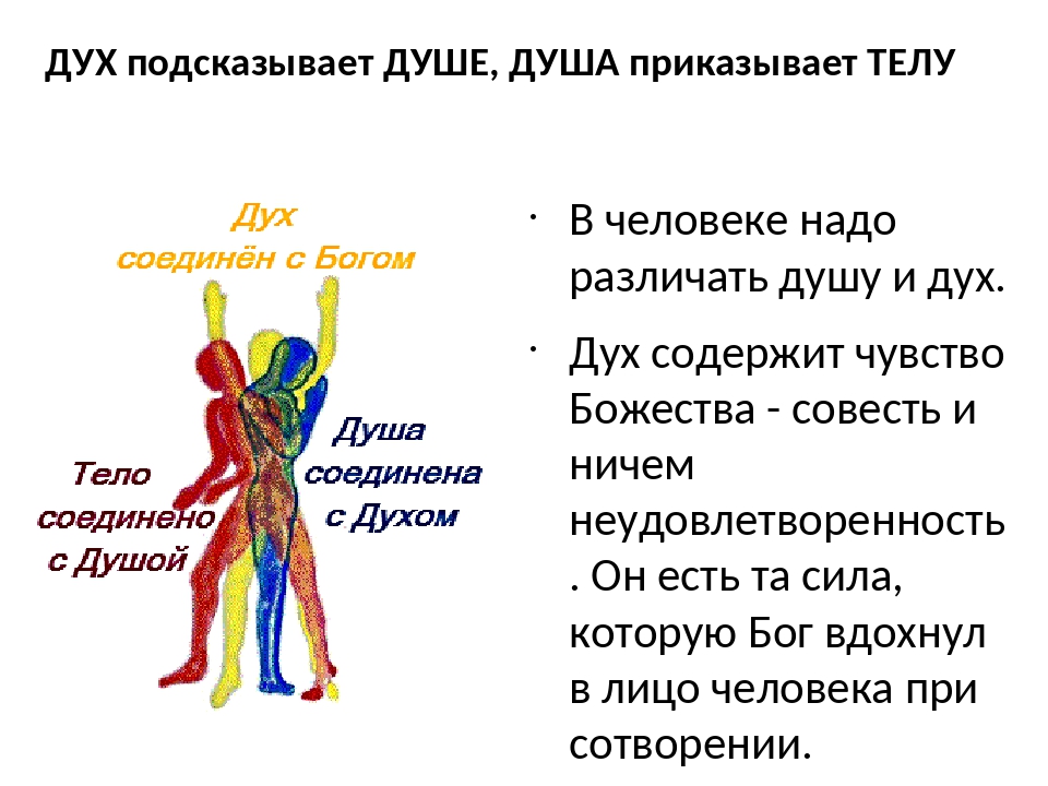 Что представляет собой душа человека презентация