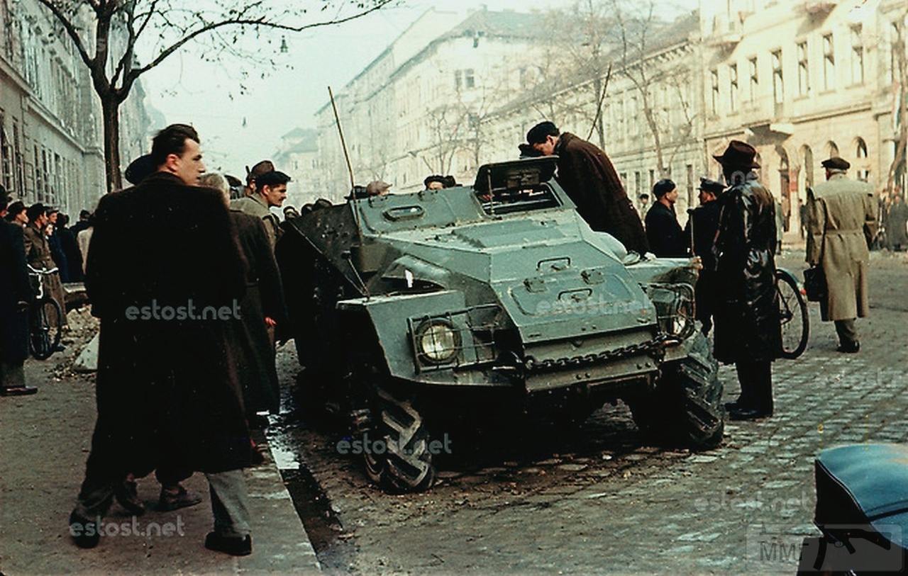 Венгерское восстание 1956 фото