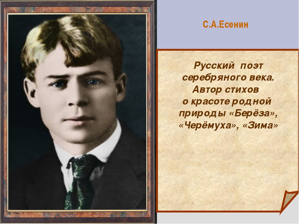 Есенин ну. Есенин серебряный век. Сергей Александрович Есенин серебряный век. Поэт серебряного века Сергей Есенин серебряный век. Есенин Дата рождения и смерти.