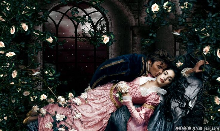 Роза ромео и джульетта фото
