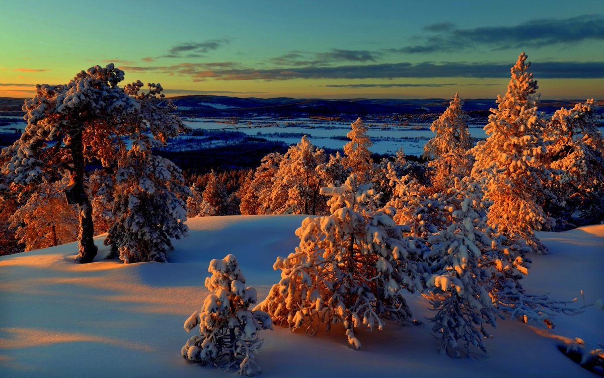 Финская природа зимой