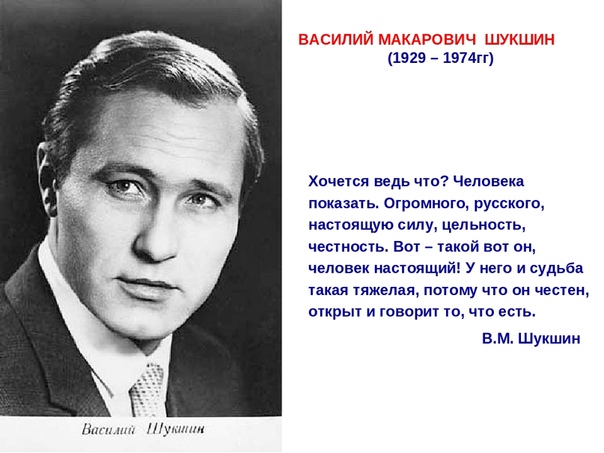 Шукшин план биографии